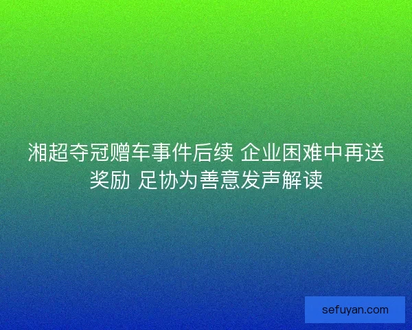 湘超夺冠赠车事件后续 企业困难中再送奖励 足协为善意发声解读