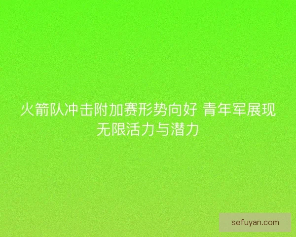 火箭队冲击附加赛形势向好 青年军展现无限活力与潜力